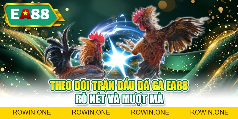 Đá Gà EA88 - Ưu Điểm Nổi Bật Giúp Người Mới Thắng Lớn Hơn