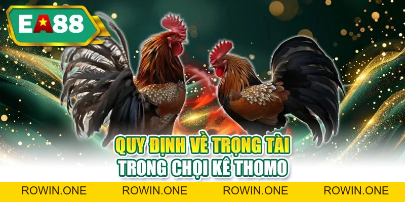 Đá Gà Thomo - Khám Phá Nhiều Trận Đấu Kịch Tính, Hấp Dẫn Đá Gà Thomo - Khám Phá Nhiều Trận Đấu Kịch Tính, Hấp Dẫn