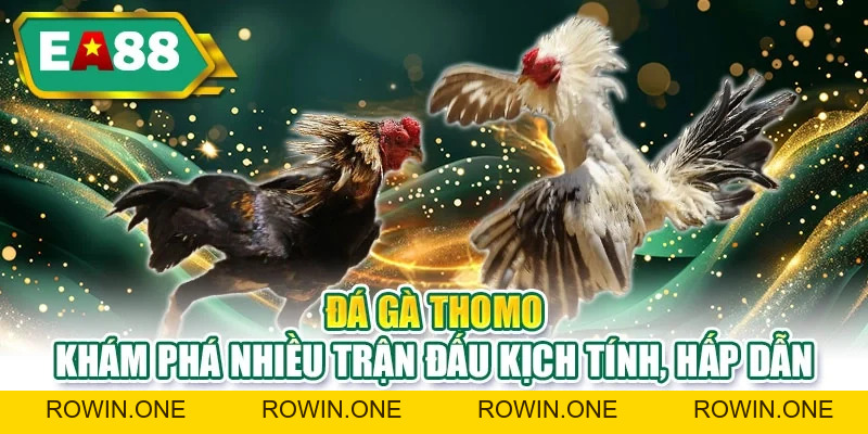 Đá Gà EA88 - Ưu Điểm Nổi Bật Giúp Người Mới Thắng Lớn Hơn