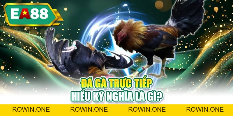 Đá Gà Trực Tiếp 2026 - Link Xem Nhanh, Hình Ảnh Sắc Nét Đá Gà Trực Tiếp 2026 - Link Xem Nhanh, Hình Ảnh Sắc Nét
