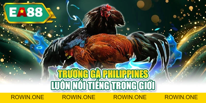 Đá Gà Trực Tiếp 2026 - Link Xem Nhanh, Hình Ảnh Sắc Nét Đá Gà Trực Tiếp 2026 - Link Xem Nhanh, Hình Ảnh Sắc Nét