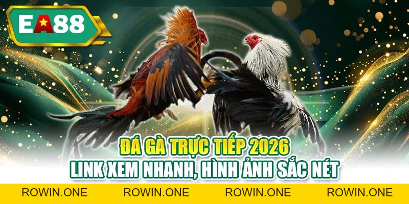 Đá Gà EA88 - Ưu Điểm Nổi Bật Giúp Người Mới Thắng Lớn Hơn