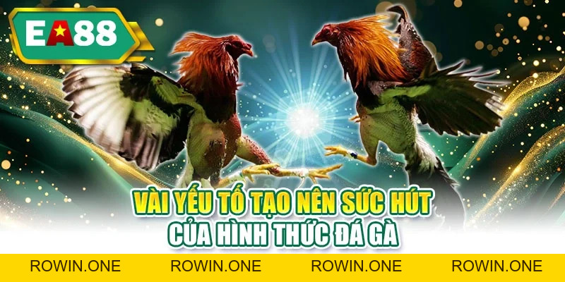 Lịch Sử Đá Gà Ấn Tượng, Nổi Bật Qua Nhiều Thời Kỳ Đặc Sắc Lịch Sử Đá Gà Ấn Tượng, Nổi Bật Qua Nhiều Thời Kỳ Đặc Sắc