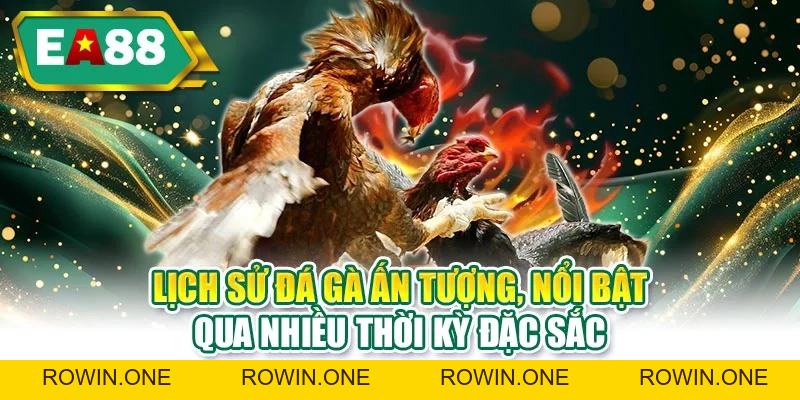 Đá Gà EA88 - Ưu Điểm Nổi Bật Giúp Người Mới Thắng Lớn Hơn