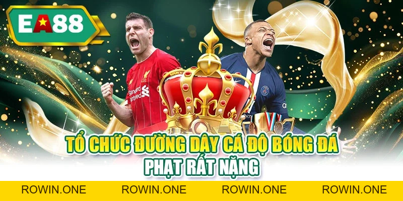 Luật Cá Độ Bóng Đá Tại Việt Nam - Cá Cược Liệu Hợp Pháp? Luật Cá Độ Bóng Đá Tại Việt Nam - Cá Cược Liệu Hợp Pháp?